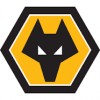 Wolves Shirt Children